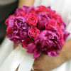 Delicate pink and purple carnation pomander, tied with white ribbon